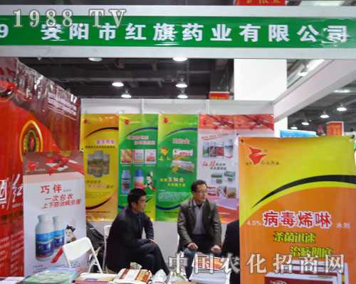 ��ꖼt��ˎ�I(y��)�ںӱ�ʡֲ��������������