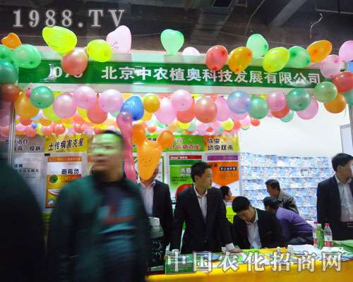 �������＼�g(sh��)�ںӱ�ʡֲ��������������