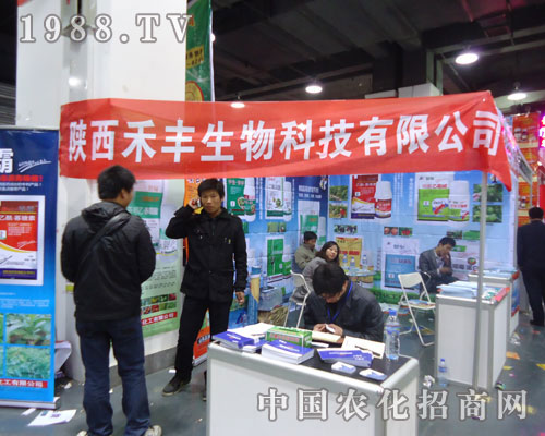 ���S����Ƽ��ںӱ�ʡֲ��������������