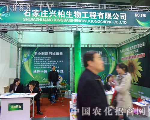 ʯ���f�d�������ںӱ�ʡֲ��������������