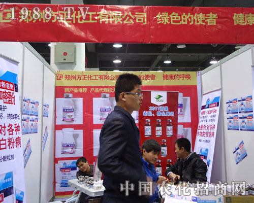 ���ݷ��������ںӱ�ʡֲ��������������