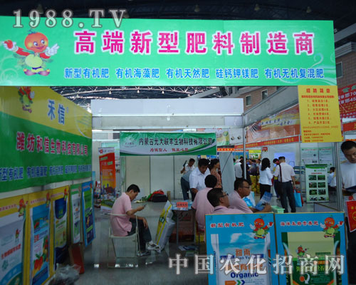 ���š����߶����ͷ��ϵ�������