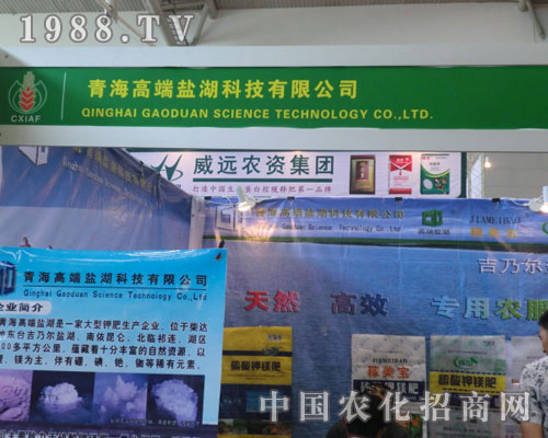 �ຣ�߶��}���½��r(n��ng)�Y��(hu��)�V���x��ƪ��