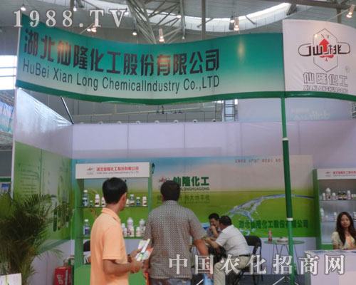 ������¡���������ҡ������½���(hu��)�����Nȫ��