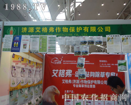 ���񸥡������N�����݌�����