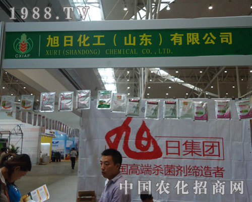 ����ˎ��������!