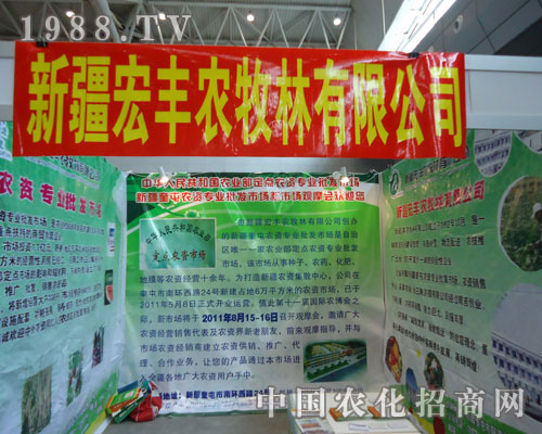 �½����S�������p2011�½��r�Y��