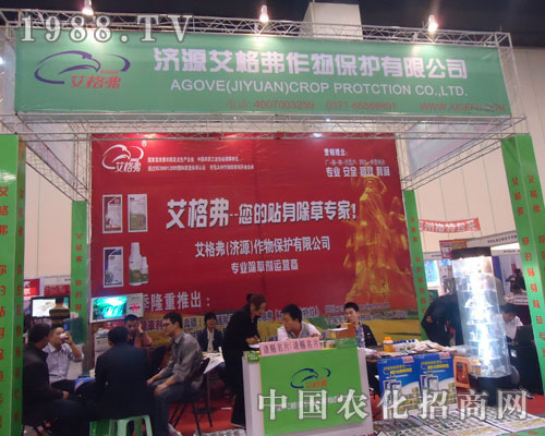 ���������N�����݌�����