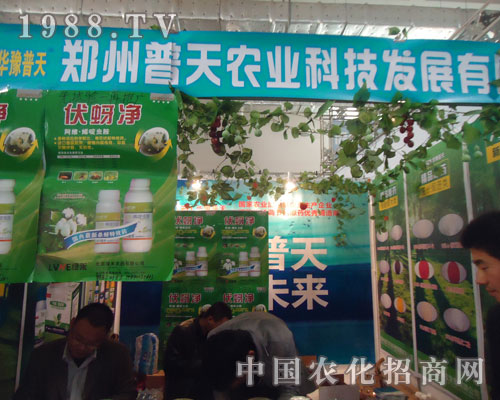 ���������r(n��ng)�I(y��)�\��ȫ����������