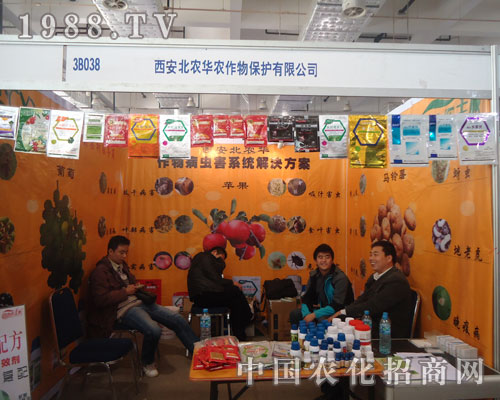 �߽��������r(n��ng)�A�r(n��ng) ����չ��(hu��)ʢ�r