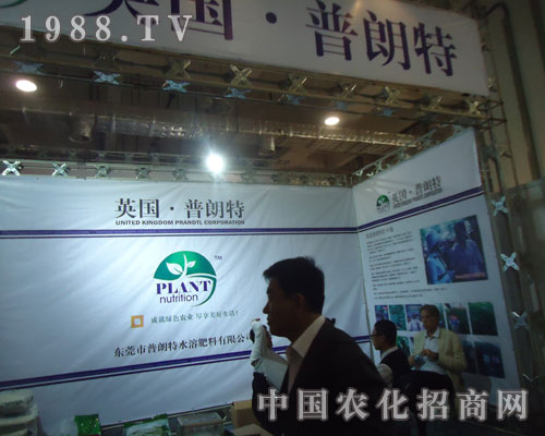 �|ݸ�����ص���ɽ�|ʡֲ�������_