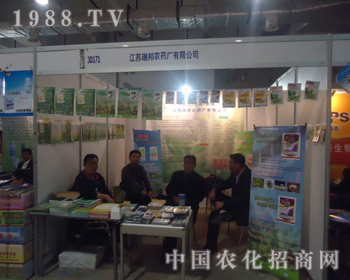 ɽ�|�r(n��ng)�Y��(hu��)�Ͻ��K����r(n��ng)ˎ�S�A��һƬ��