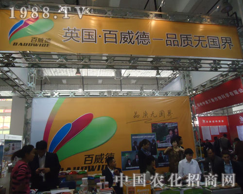 Ӣ��(gu��)�����£�Ʒ�|(zh��)�o(w��)��(gu��)��