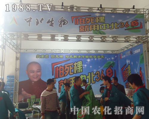 �������������б�36E