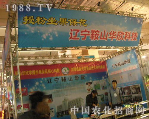 �ڷ������������|����ɽ�A���Ƽ�