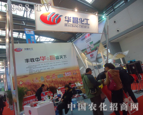 2011�׏�(f��)�ʕ�(hu��)���A�����������P(gu��n)ע