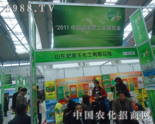 �ʰ���������2011�������׏�(f��)�ʕ�(hu��)�����