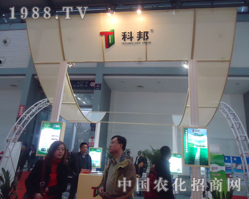 �ư���2011�Ї��׏�(f��)�ʕ��ϴ�@ȫ��