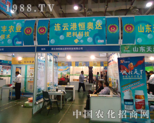 �B�Ƹۺ�W�_(d��)�����B�Tֲ����(hu��)һչ����