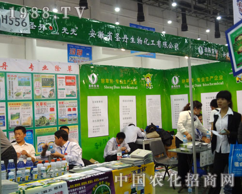 ����ʡʥ�����ﻯ���x�������v���B�T(m��n)�r(n��ng)�Y��(hu��)