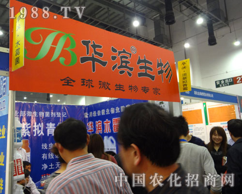 �A�I������΢�����