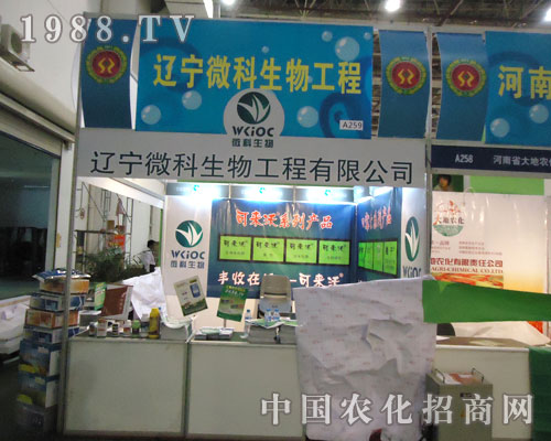 �B�T�r(n��ng)ˎе��(hu��)���|��΢�����ﲻؓ(f��)����