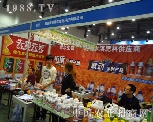 ���� ��F(xi��n)��B�T�r(n��ng)ˎ��