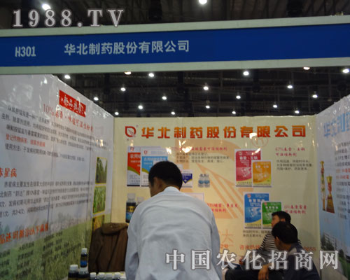 27��ȫ��ֲ�������A����ˎ�����