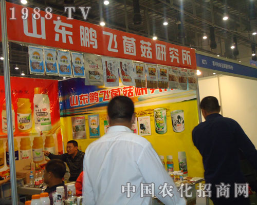 2011�B�Tȫ��(gu��)ֲ����(hu��)���i�w�����о�����(sh��)�F(xi��n)�v�w