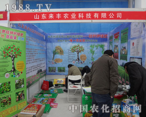 ɽ�|�r(n��ng)�Y����ɽ�|���Sһ�w�_��