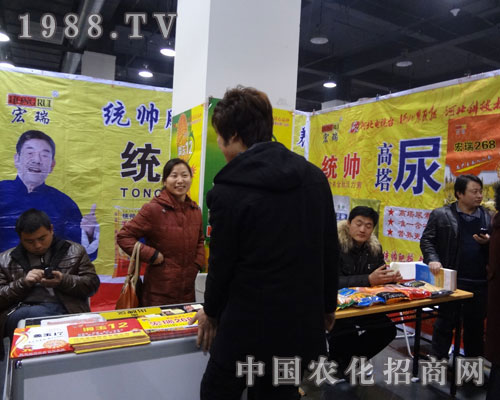 �ӱ�����˾�����I(y��)��ʯ���fֲ��������������