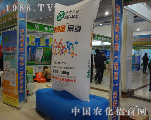 �Ї��r�Y��ø������¡������