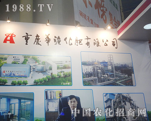 �A��(qi��ng)������2012�׏�(f��)��չ�[��(hu��)�Ͼ�������