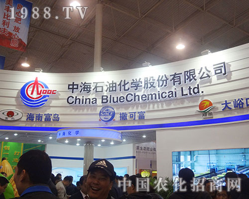 �к�ʯ����ʮ�����׏�(f��)�ʕ�(hu��)�����ل�(chu��ng)�ѿ�