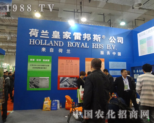 �װ�˹-���Ժ��m������(w��)�Ї�