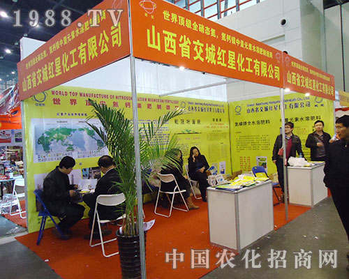 �t�ǻ����y��Ӣ�F(tu��n)꠳���(zh��n)28��ȫ��ֲ�����ו�