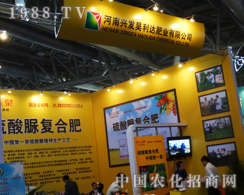 2013�����׏�(f��)�ʕ�(hu��)