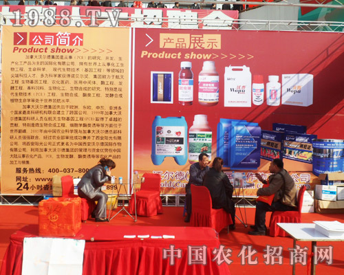 �֠�����2013�����ð��շ��ϕ��ϻ����o��