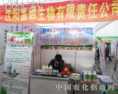 ��������ӵ�ʮ����ꖷ����p����(hu��)