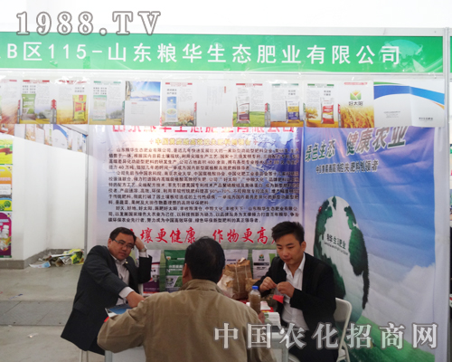 �Z�A���B(t��i)�ذ�������ꖷ��ϕ�