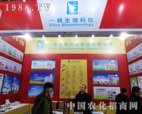 һ���������(zh��n)2015����ֲ��չ