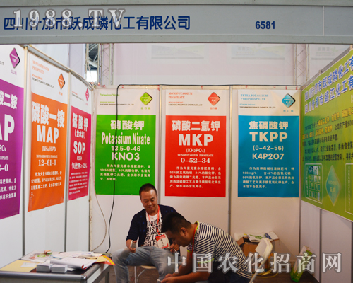 �S���׻����ɹ���չ2015�����r(n��ng)�Y���ו�