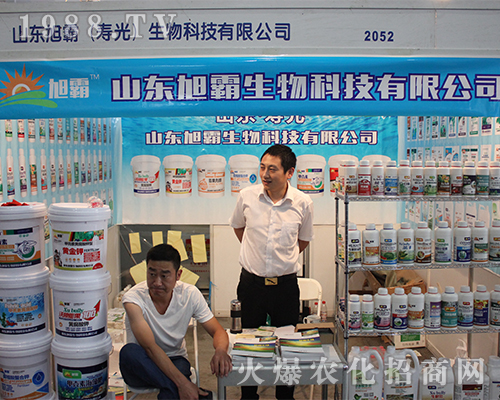 �������Ƽ�