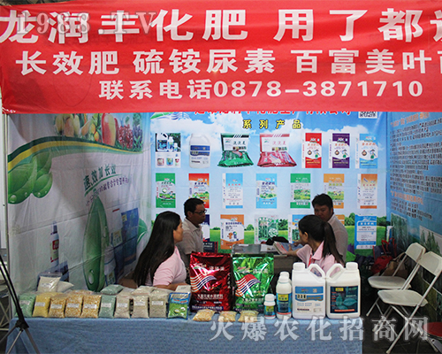 ��������(r��n)�S����