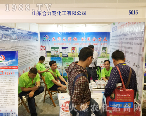 ɽ�|����̩�ʘI(y��)�ڵ�ʮ�����Ϸ��r(n��ng)�Y��(hu��)�ϴ�չȭ�_