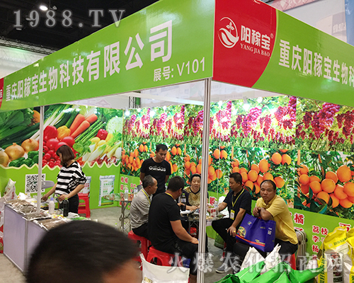 2018�V���ό��r(n��ng)�Y��(hu��)���ؑcꖼڌ����(qi��ng)��(sh��)����