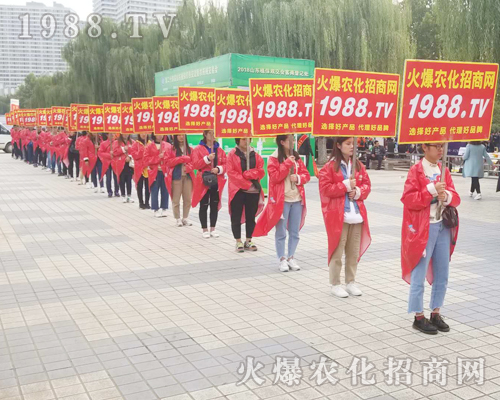     �R�������������2018��24��ɽ�|��(j��)��ֲ���p����(hu��)��