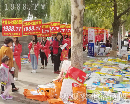     2018ɽ�|ֲ���p�����ϻ��r���W(w��ng)�ľ�Ӣ����ͬ�����