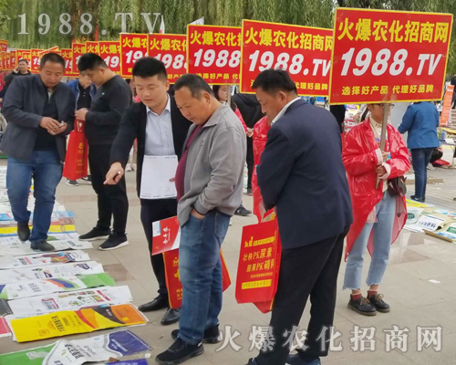     2018ɽ�|����ֲ�����ו������r(n��ng)���W(w��ng)����ֱǰ��