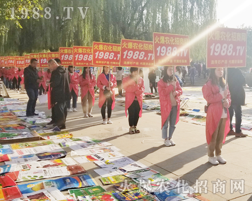     ��24��ɽ�|ֲ���������cͻ�@��1988.TV�ɽ��c��